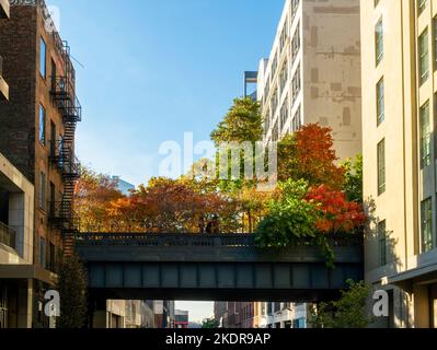 Le feuillage d'automne du parc High Line traverse la rue West 25th à Chelsea, dans l'État de New York, dimanche, 30 octobre 2022. .(© Richard B. Levine) Banque D'Images