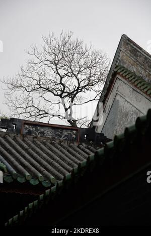 Ville de Qingyuan, province de guangdong, le paysage du temple Banque D'Images