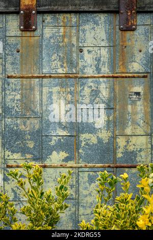 Finition décolorée sur la porte coulissante en métal avec des arbustes verts et jaunes. Banque D'Images