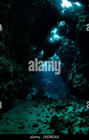 Grottes et paysages tout en plongée dans la mer Rouge Banque D'Images