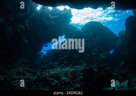 Grottes et paysages tout en plongée dans la mer Rouge Banque D'Images