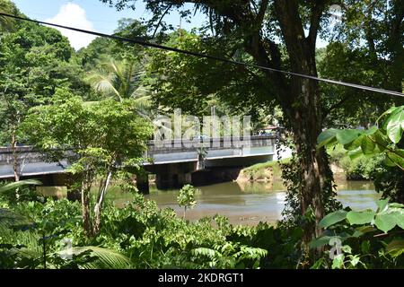 Le pont historique de Salybia situé à Trinité-et-Tobago. Il est connu pour enjamber la rivière Salybia au milieu d'une végétation tropicale luxuriante. Banque D'Images