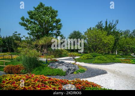 Vue sur le canal nord de Tianjin Section du Grand Canal Beijing-Hangzhou Banque D'Images