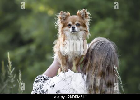 Femme et à Chihuahua Banque D'Images