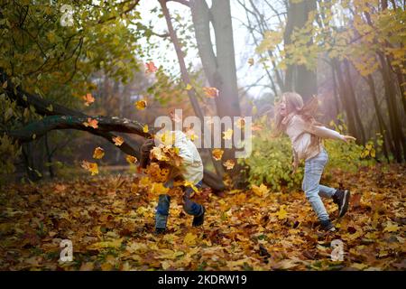 Les enfants du parc d'automne courent, sautent et jouent au milieu du feuillage coloré de l'érable. Les feuilles d'automne volent autour. Espace de copie pour votre conception. Banque D'Images