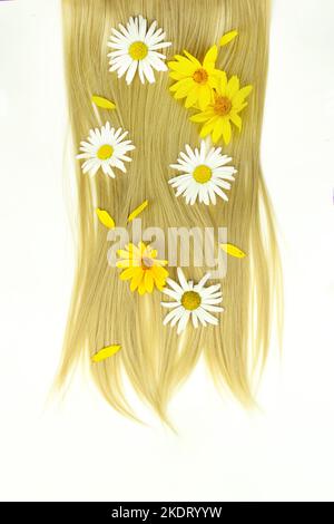 Morceau de cheveux blond avec fleurs camomille et calendula sur fond blanc. Brin de cheveux blonds, soins des cheveux Banque D'Images