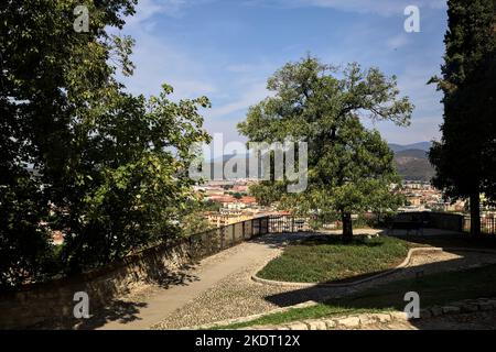 Terrasse avec arbres au-dessus d'une ville dans un parc Banque D'Images