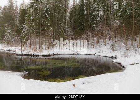 Sources bleues de Saula (sinialikad en estonien) en hiver enneigé Banque D'Images