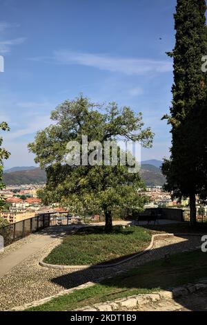 Terrasse avec arbres au-dessus d'une ville dans un parc Banque D'Images