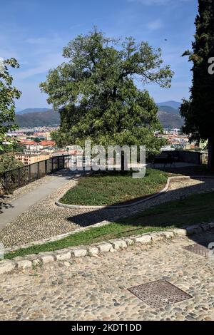 Terrasse avec arbres au-dessus d'une ville dans un parc Banque D'Images