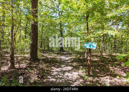 Randonnée dans la piste sam's Loop Trail à Arkansas Banque D'Images