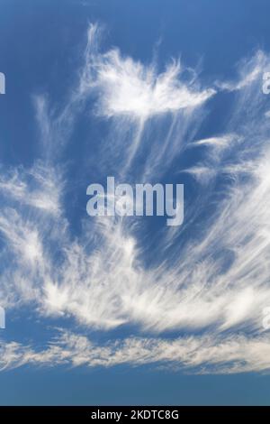 Les nuages de cirrus de queue de Mare, formés à partir de cristaux de glace, Dorset, Royaume-Uni, juillet. Banque D'Images