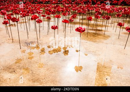 Des coquelicots en céramique à vagues qui surprennent ceux qui votent leur vie en mer pendant les deux guerres mondiales au Plymouth Hoe Navy War Memorial. Banque D'Images