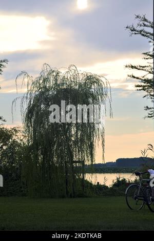 Lac au coucher du soleil entouré d'arbres et vu de la rive Banque D'Images