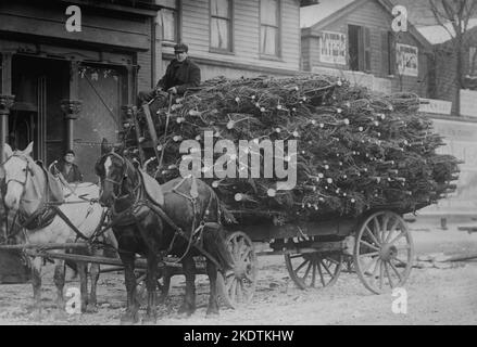 Arbre de Noël livraison par cheval et charrette à New York - 1910-1915 Banque D'Images