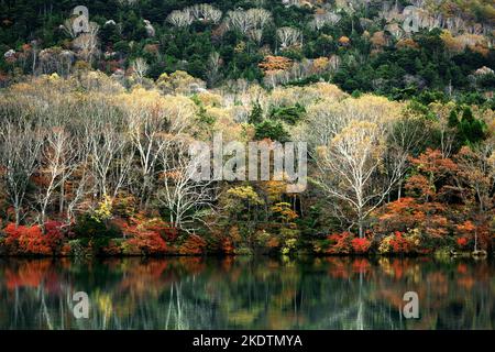 Le paysage de la belle automne laisse au Japon le paysage de Nikko Yunoko comme un tableau Banque D'Images