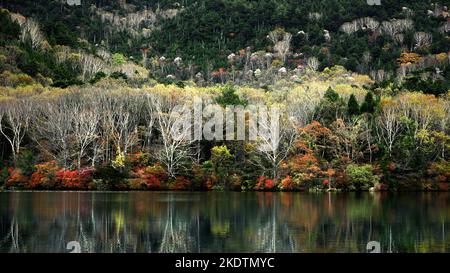 Le paysage de la belle automne laisse au Japon le paysage de Nikko Yunoko comme un tableau Banque D'Images