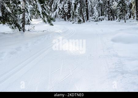 Pistes de ski de fond soignées dans les montagnes Banque D'Images