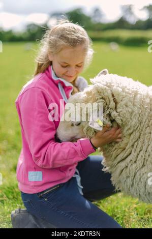 Une jeune fille a vu en photo avec un mouton très laineux dans un champ sur une ferme Banque D'Images
