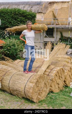 Photo de Jim Wileman - Jane Rush, photographiée à Lower Jurston Farm, près de Chagford, Devon. Jane est en branchant son propre toit. Banque D'Images