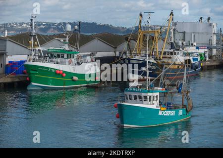 Photo de Jim Wileman - Mitch Tonks and Rockfish Business Feature, tourné à Brixham, South Devon, Royaume-Uni. Banque D'Images