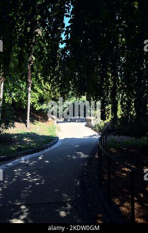 Chemin à l'ombre sous un hêtre dans un parc Banque D'Images