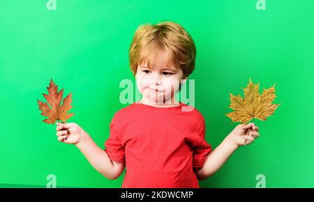 Enfant garçon attentionné jouant avec des feuilles d'érable. Petit enfant en t-shirt rouge avec des feuilles jaunes. Banque D'Images