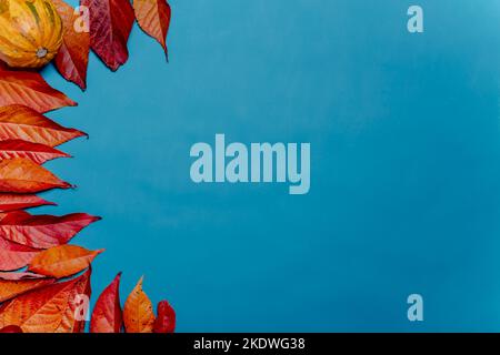 Composition de l'automne - feuilles séchées d'automne rouges, jaunes et orange sur fond bleu. Mise à plat, arrière-plan, vue de dessus Banque D'Images