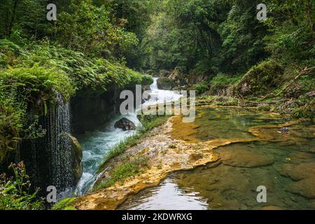 La rivière Cahabon disparaît sous les rochers calcaires du Semuc Champey, monument naturel du département d'Alta Verapaz, au Guatemala. Banque D'Images