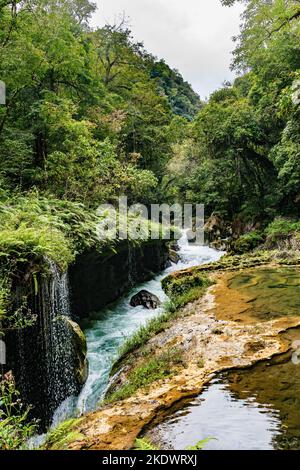 La rivière Cahabon disparaît sous les rochers calcaires du Semuc Champey, monument naturel du département d'Alta Verapaz, au Guatemala. Banque D'Images