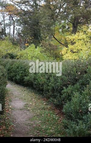 Odessa, Ukraine. 5th novembre 2022. Les couleurs des feuillages d'automne sont visibles dans le jardin botanique sur le boulevard Français. Jardin botanique de l'Université nationale d'Odessa nommé d'après Ilya Mishnikov. Plus de 3 000 types d'espaces verts sont présentés sur le territoire du jardin d'une superficie d'environ 16 hectares. Le jardin est une subdivision éducative de la Faculté de biologie de l'Université, sur sa base diplôme et les études de terme sont effectuées chaque année, le personnel scientifique du jardin participe au processus éducatif.en 1963, le jardin botanique a reçu le statut de parc-monument Banque D'Images