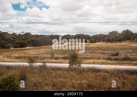 Le pipeline Goldfields Water Supply Scheme (1903) traverse le pays agricole à l'est de Perth, en Australie occidentale Banque D'Images