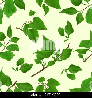 Texture sans couture Twig lilas avec feuilles nature fond vintage vecteur botanique illustration modifiable main dessiner Illustration de Vecteur