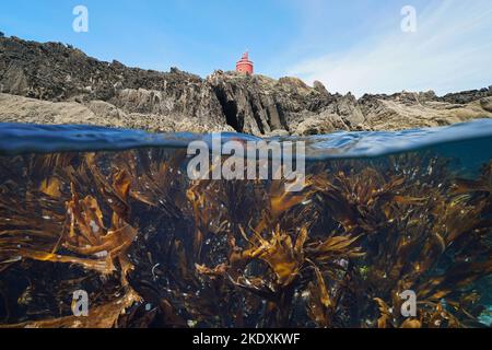 Côte rocheuse avec un phare et varech sous l'eau, vue sur et sous la surface de l'eau, océan Atlantique, Espagne, Galice, Rias Baixas Banque D'Images