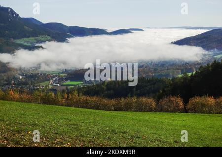 incroyable brouillard blanc dense dans une vallée avec un pré vert Banque D'Images