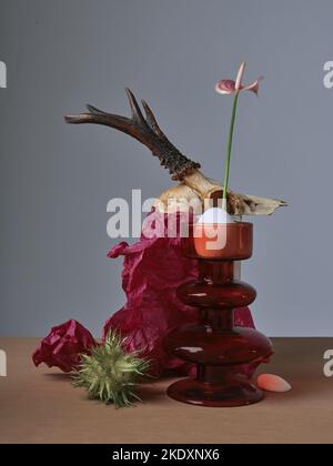 Encore la vie avec un crâne, papier rouge et une fleur Banque D'Images