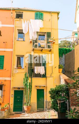 Façade de petit bâtiment jaune avec portes et volets verts et grand cactus en pot placé dans un petit patio dans la ville de Gênes Banque D'Images