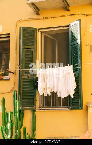 Façade de petit bâtiment jaune avec portes et volets verts et grand cactus en pot placé dans un petit patio dans la ville de Gênes Banque D'Images