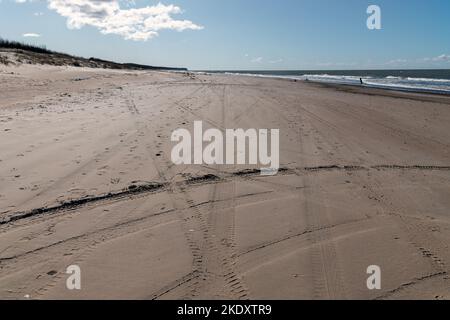 Timbres-pneus sur la plage de la mer Baltique. Banque D'Images