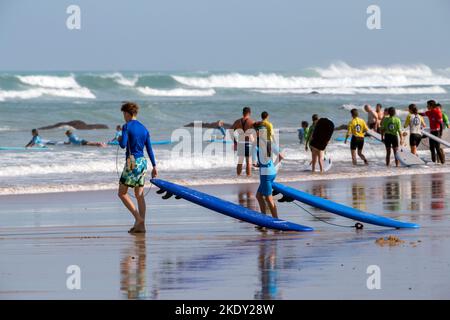 Cours de surf en groupe sur la plage d'Uhabia. Activités de vacances. Bidart, Côte Basque, France Banque D'Images