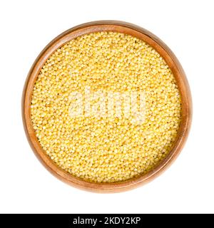 Millet jaune décortiqueté, dans un bol en bois. Céréales annuelles à petits grains appartenant à la tribu des Paniceae. Grain sans gluten, le grain le plus nutritif. Banque D'Images