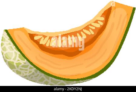 illustration vectorielle de dessin animé de la tranche de cantaloup de melon Illustration de Vecteur