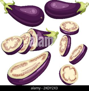 illustration vectorielle de la série d'aubergines d'aubergines d'aubergines Illustration de Vecteur