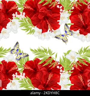 Bordure horizontale florale sans couture arrière-plan fleurs hibiscus rouges avec jasmin et papillon vecteur vintage Illustration pour une utilisation dans le design intérieur, Illustration de Vecteur