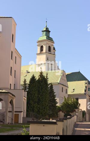 Un cliché vertical de l'église Saint-Paul avec un dôme vert et une croix à Lublin, en Pologne Banque D'Images