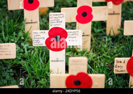 Le dévouement du champ de pavot de mémoire à l'Arboretum National Memorial à Staffordshire, Royaume-Uni. Des coquelicots plantés en souvenir de leurs proches. Banque D'Images