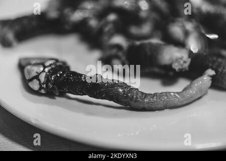 Gros plan macro de Percebes ou de poisson de fruits de mer de la bernache de la bernache en monochrome, également connu sous le nom de doigts de Lucifer Banque D'Images