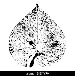 Feuille imprimée avec de l'encre. Pour les dessins sur la nature, les plantes, la vie. Noir isolé sur blanc Banque D'Images
