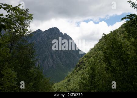 Un paysage avec une montagne et des arbres de premier plan contre le ciel nuageux Banque D'Images