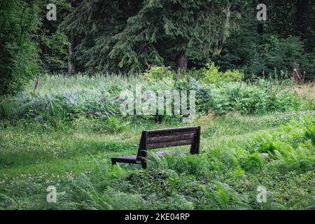 L'arboretum du jardin botanique de l'Université des sciences de la vie de Varsovie, dans le village de Rogow, en Pologne Banque D'Images